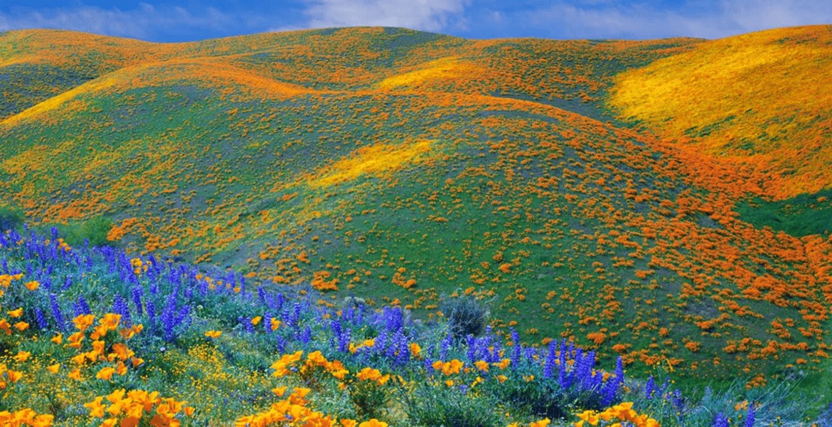 KITULO NATIONAL PARK